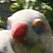 DSC00046_Panorama1_79x28cm_Dx75