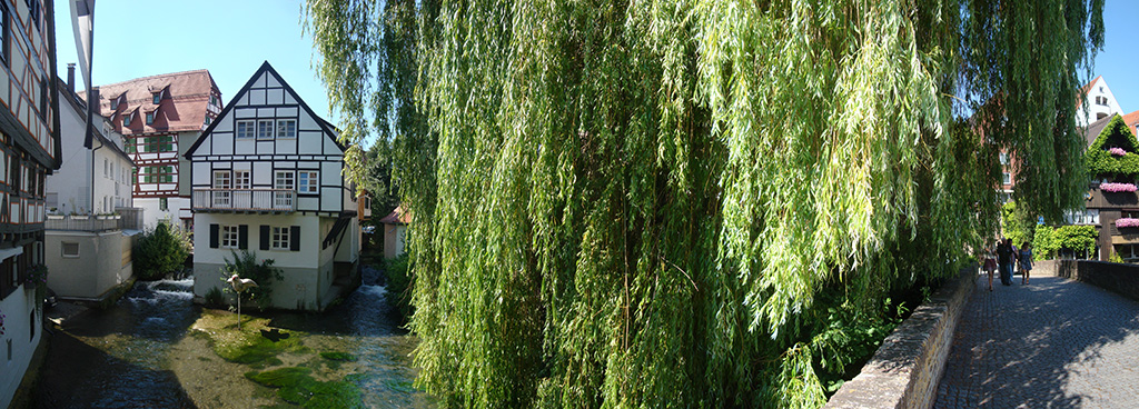 DSC00046_Panorama1_79x28cm_x1024