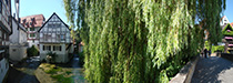 DSC00046_Panorama1_79x28cm_x210