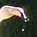 DSC00681_Panorama1_160x26cm_Dx75