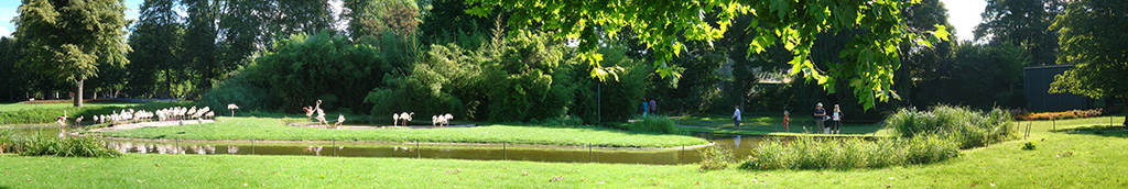 DSC00681_Panorama1_160x26cm_x1024