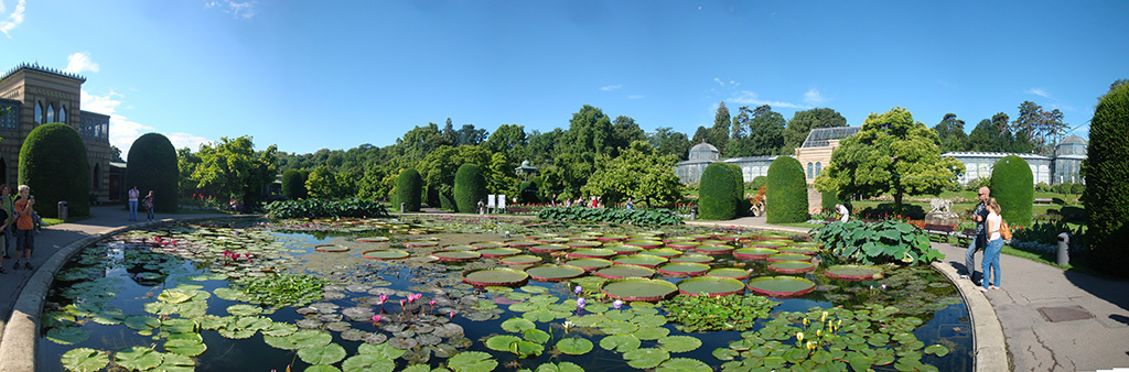 DSC00719_Panorama1_83x27cm_x1024