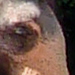 DSC00893_Panorama1_80x26cm_Dx75