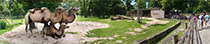DSC00918_Panorama1_126x26cm_x210 DSC00918_Panorama1_126x26cm_x210