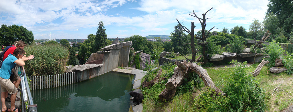 DSC00937_Panorama1_71x27cm_x1024