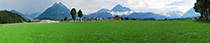 IMG_0986_Panorama1_142x29cm_x210