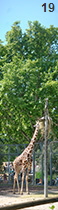 DSC00908_Panorama1_23x86cm_y210